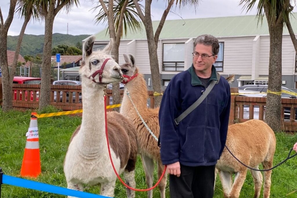 A man in a blue top holding onto a lead attached to a llama and looking sideways at it.